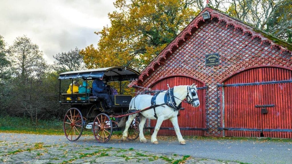 One of our Jaunting Carts at Reen Pier
