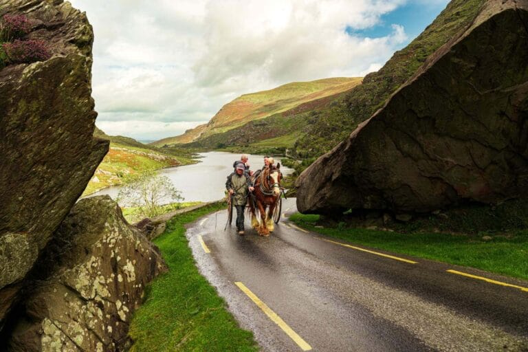 Jarvey and Trap going through the Gap of Dunloe